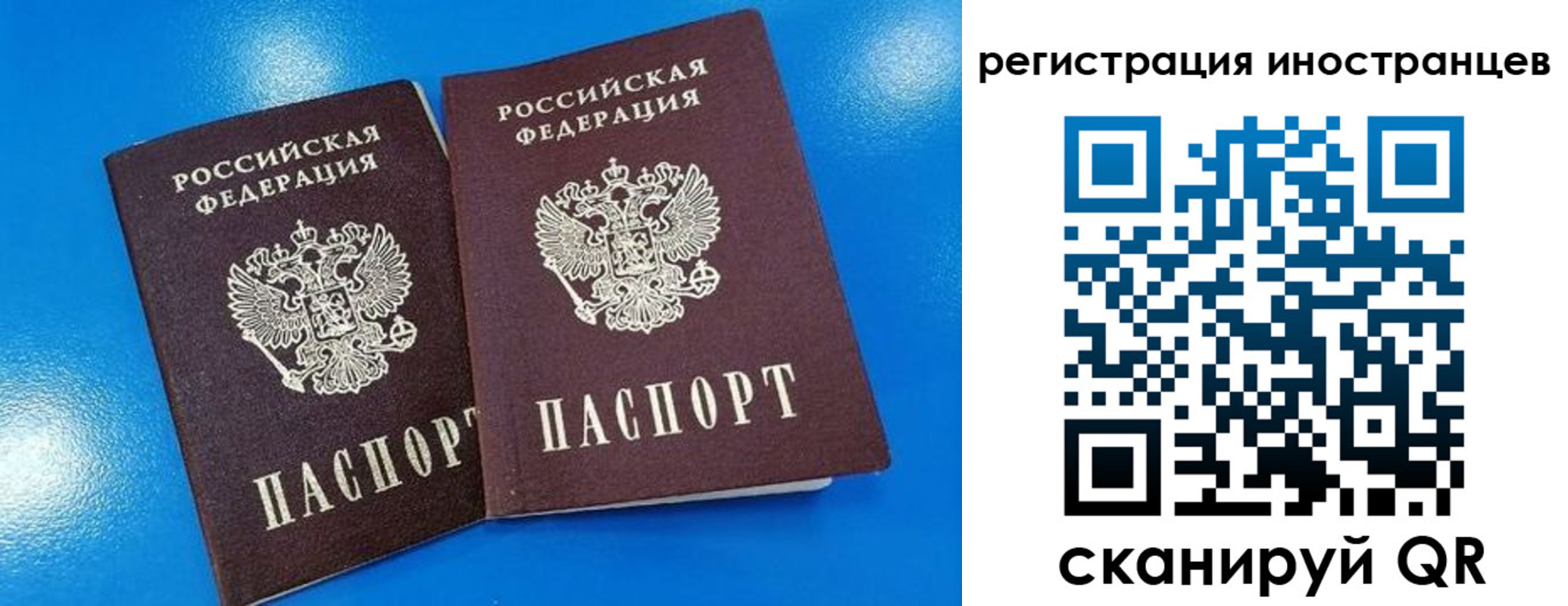 временная регистрация поиск в Щёлково