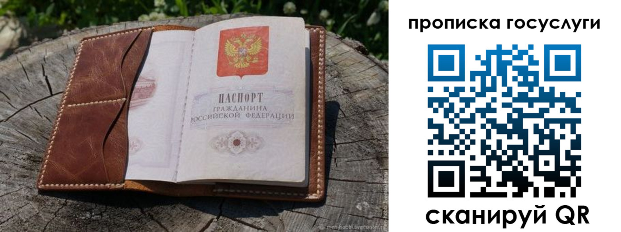 прописка для школы в Щёлково