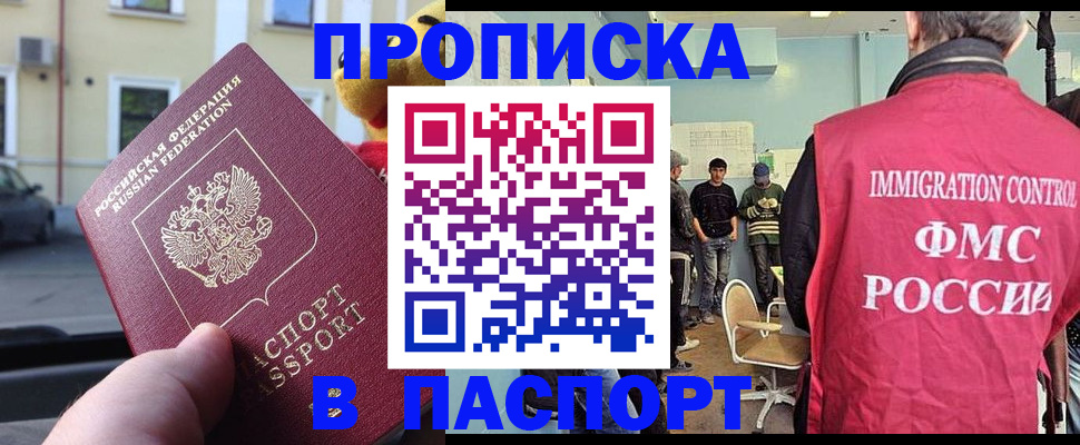 временная регистрация поиск в Щёлково